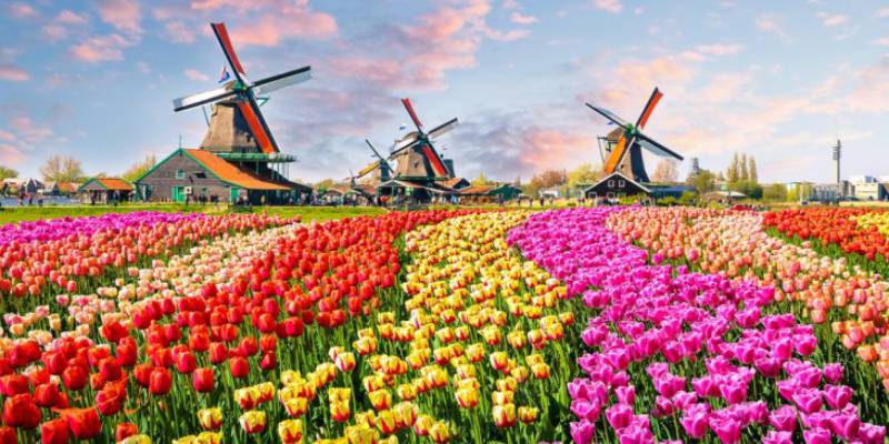 باغ گل اروپا هلند